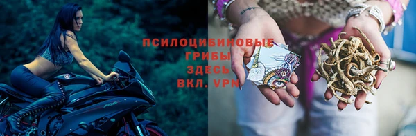 героин Абаза