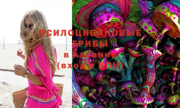PSILOCYBIN Абинск