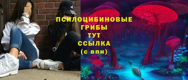 PSILOCYBIN Абинск